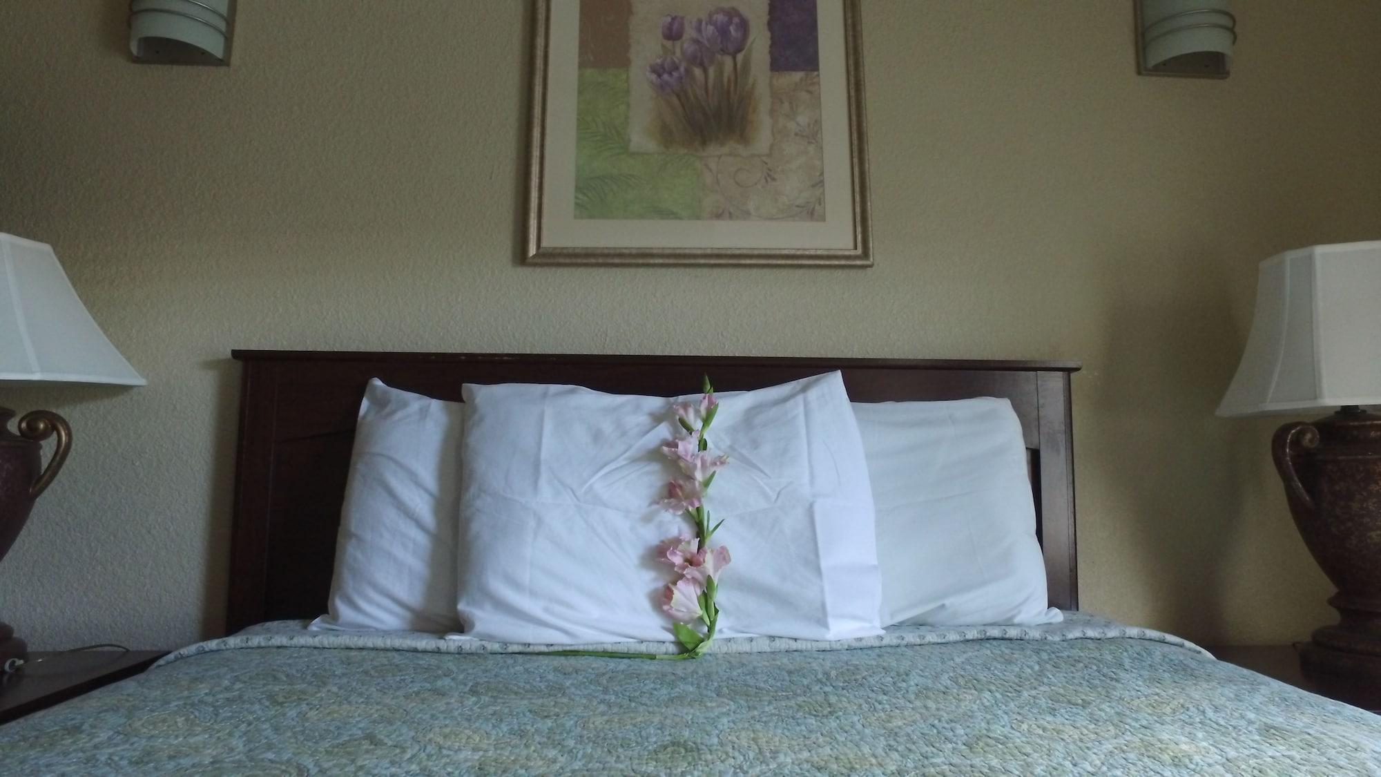 Athens Hotel & Suites Houston Dış mekan fotoğraf