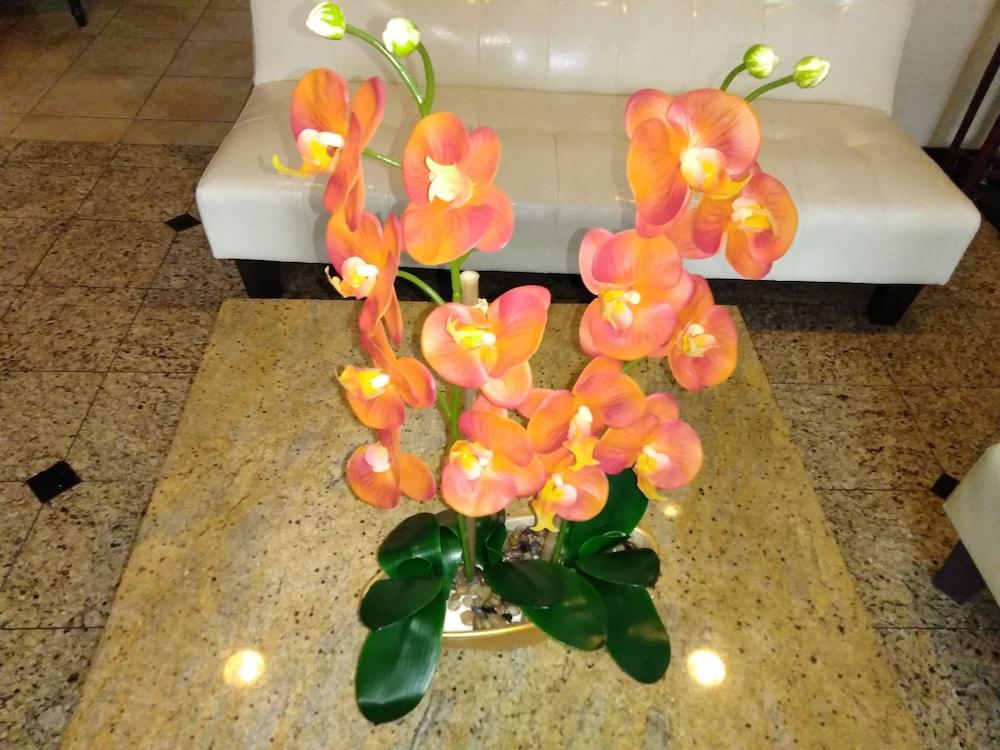 Athens Hotel & Suites Houston Dış mekan fotoğraf