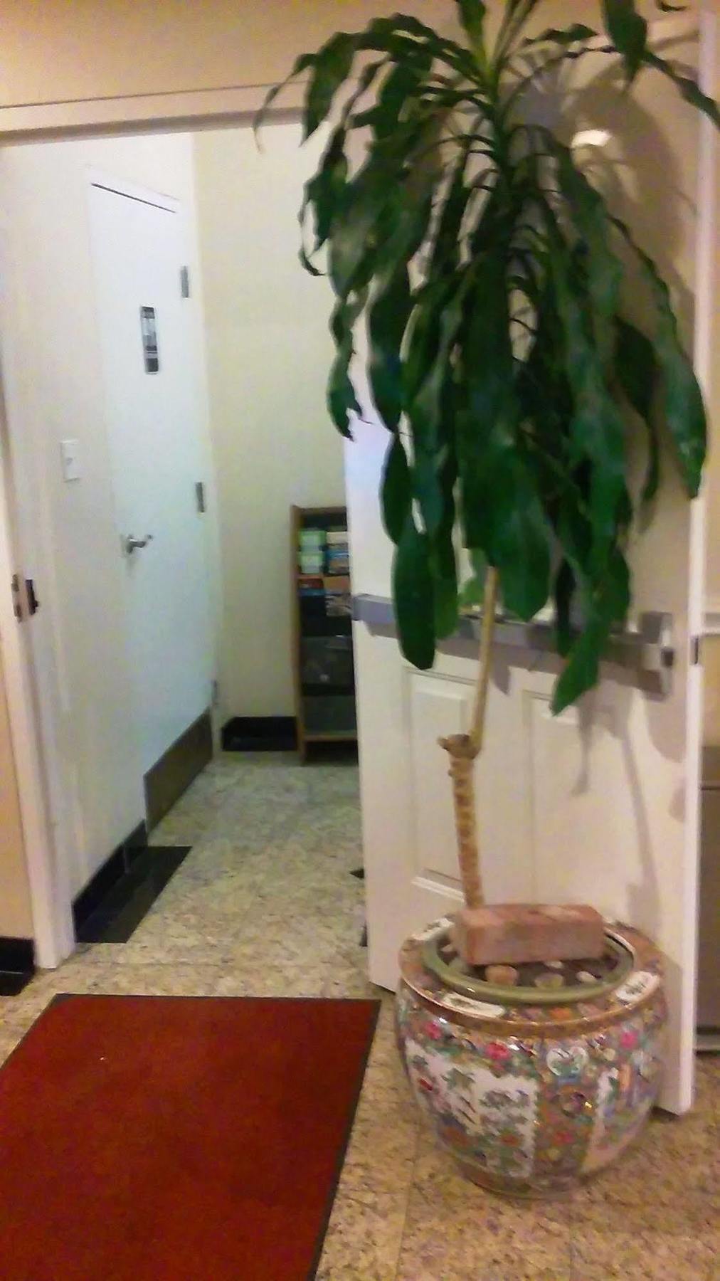 Athens Hotel & Suites Houston Dış mekan fotoğraf